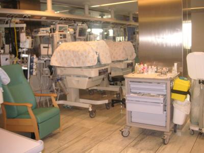 el meu jerma luis est&agrave; a la cubadora